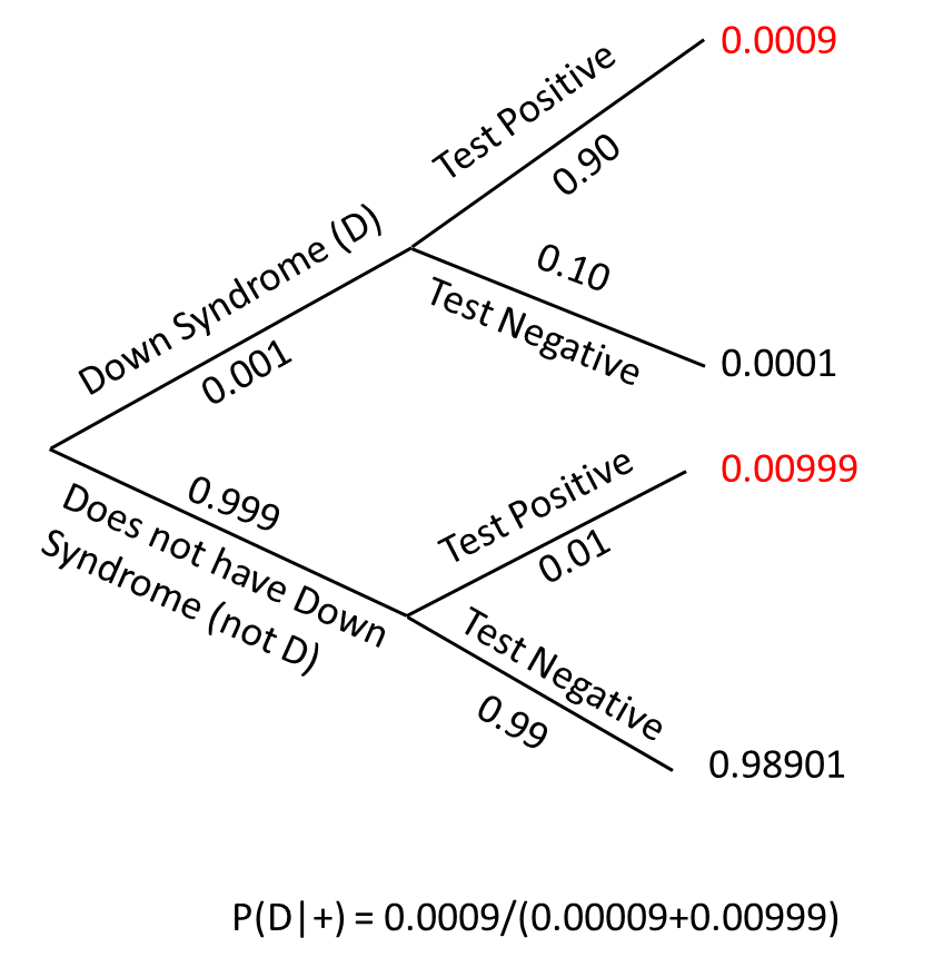 Probability tree for calculating the probability that a child will have Downs Syndrome given the mother tests positive.  Probability trees represent all possible outcomes associated with multiple events using a branching process. Probabilities associated with each outcome can be determined by multiplying successive probabilites along each branch.